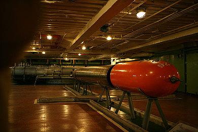 开放世界冒险《Tchia》PC配置公布 3月21日登陆Epic